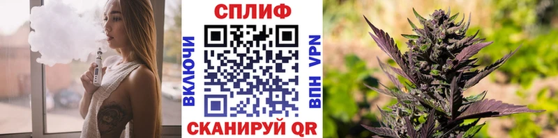 купить закладку  Костомукша  MEGA вход  Канабис THC 21% 